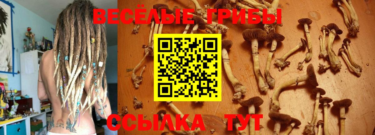 Псилоцибиновые грибы GOLDEN TEACHER Джанкой
